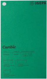 Spalvotas popierius Caribic Nr.87 250g/m2 65x92 cm (žalia)