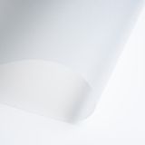 Polipropileno (PP) plokštė Viprint Elegance (1000x700x0,3 mm) G02 permatoma (0000) matinė