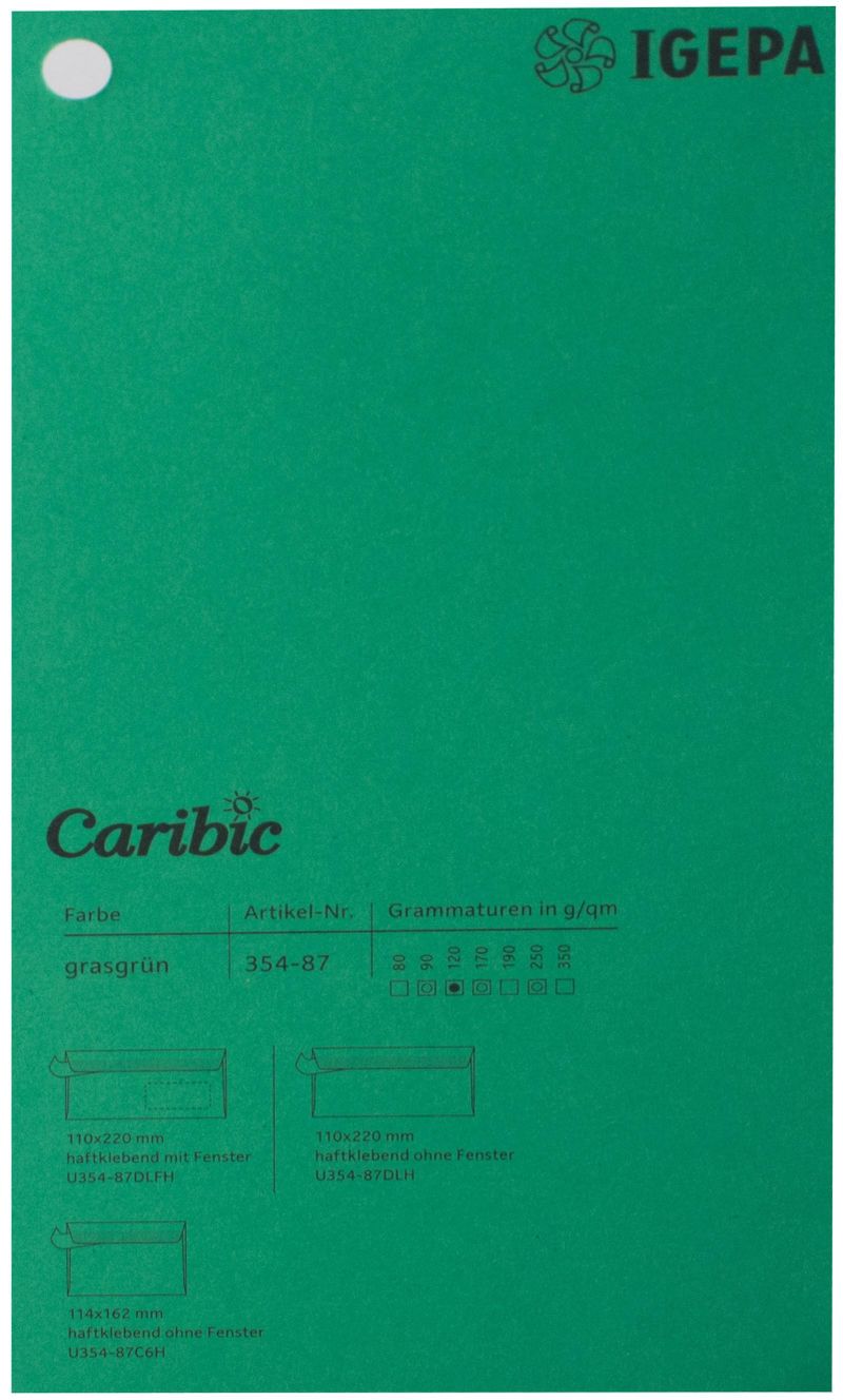 Spalvotas popierius Caribic Nr.87 250g/m2 65x92 cm (žalia)