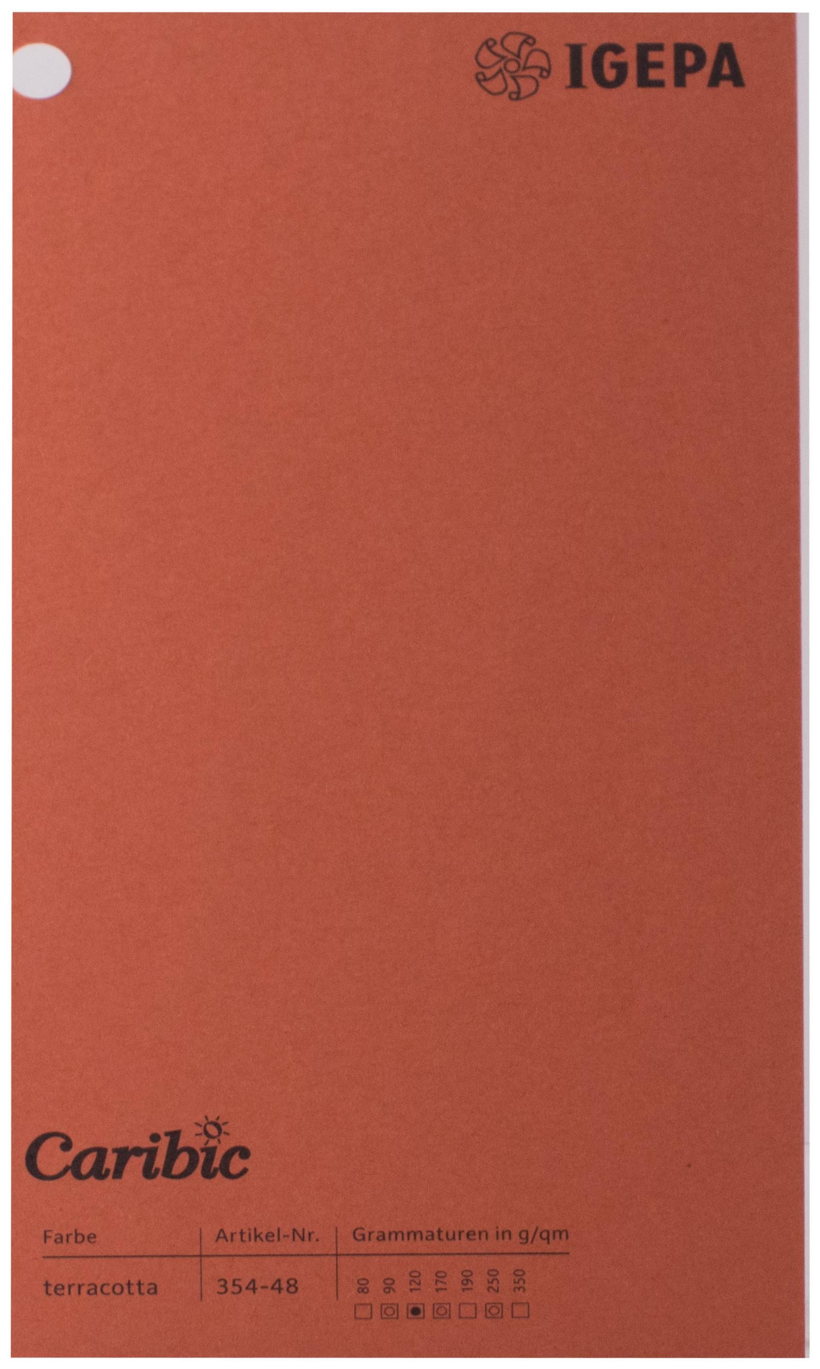 Spalvotas popierius Caribic Nr.48 170g/m2 65x92 cm (terakota)