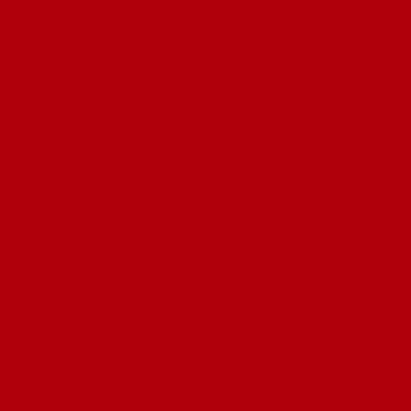 Lipni plėvelė Oracal 641-031M Red, matinė