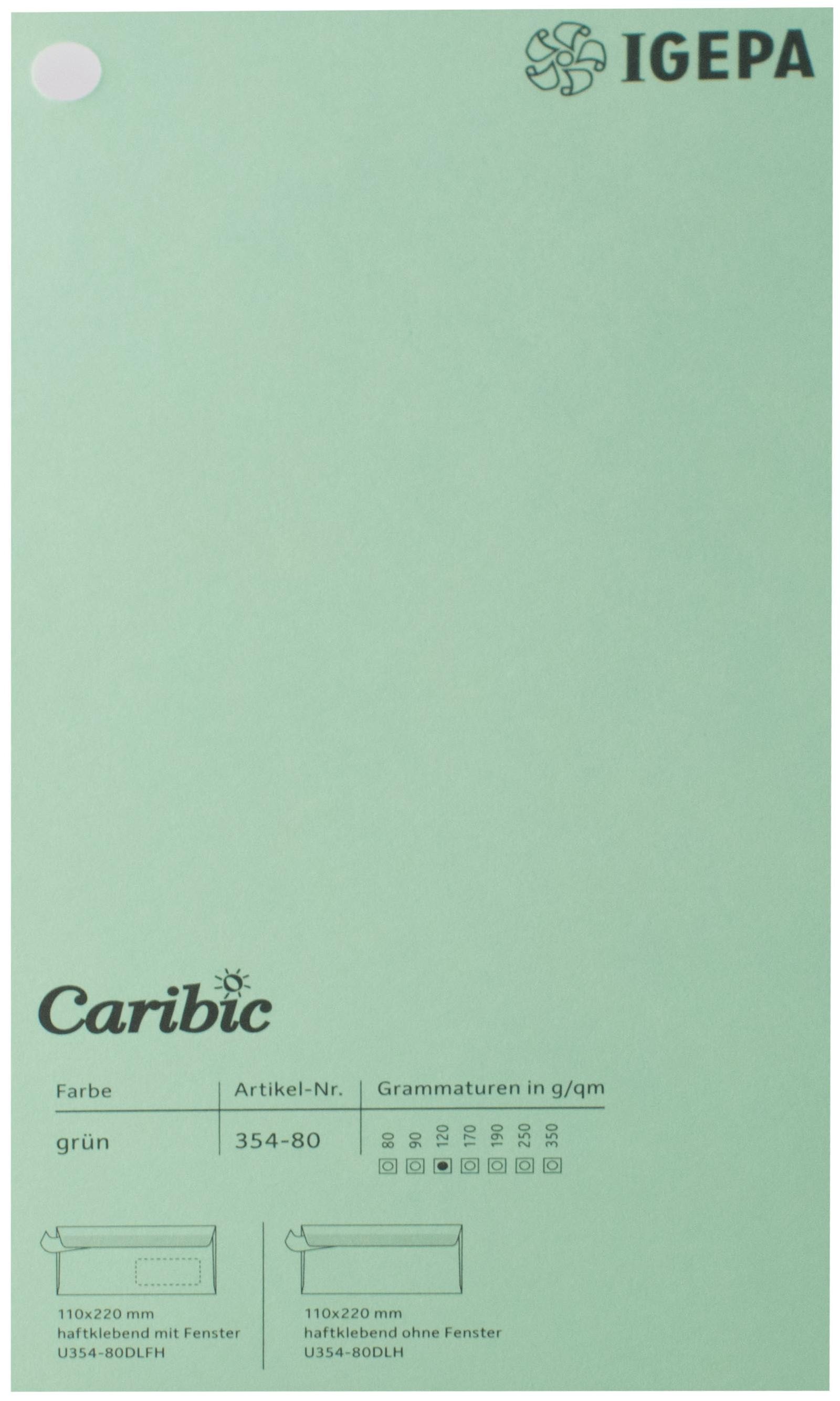 Spalvotas popierius Caribic Nr.80 250g/m2 65x92 cm (šv.žalia)