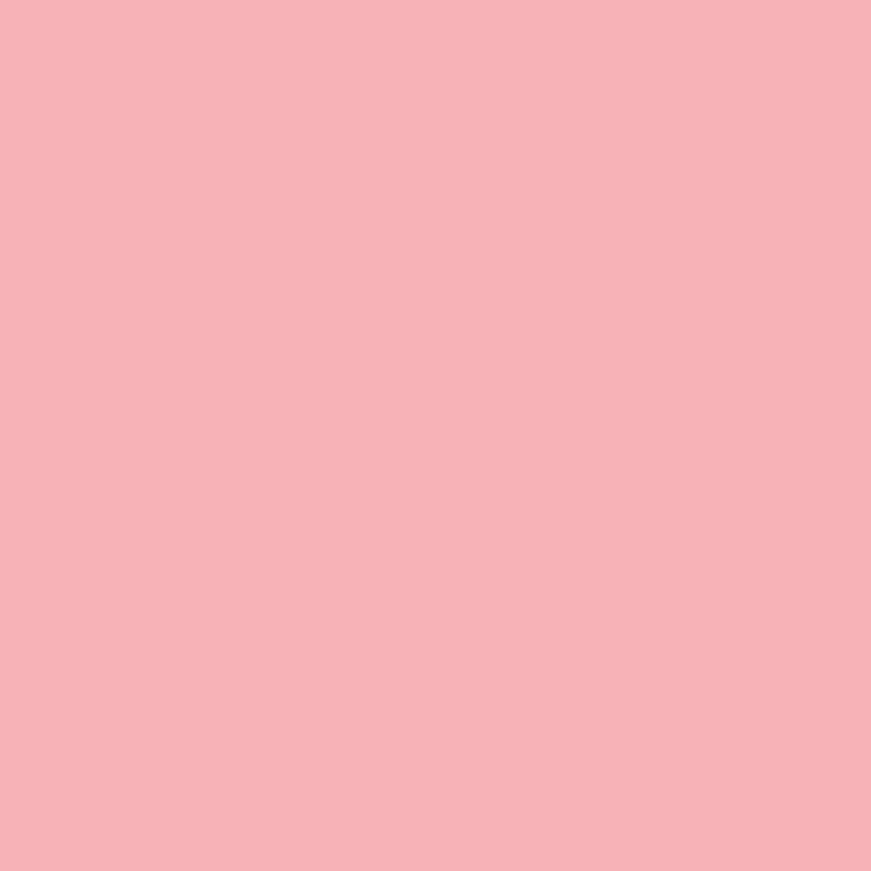 Terminė plėvelė Poli-flex 461 Baby pink, matinė