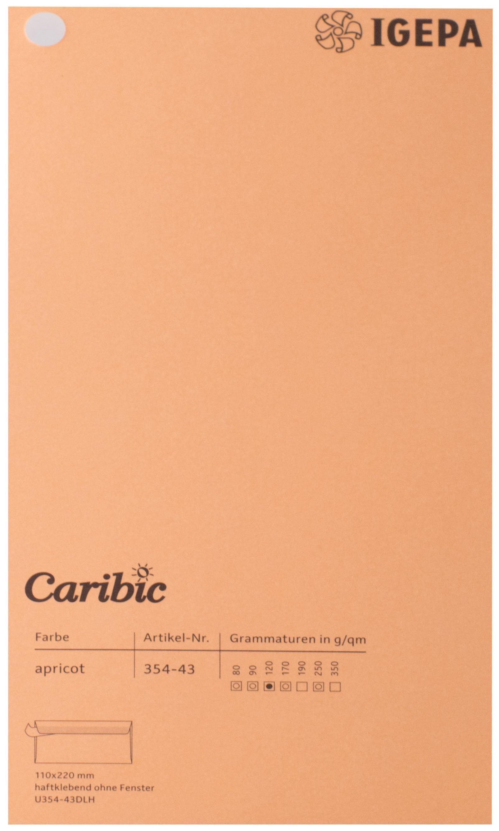 Spalvotas popierius Caribic Nr.43 170g/m2 65x92 cm (abrikosinė)