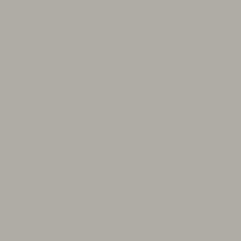 Terminė plėvelė Poli-flex 412 Grey, matinė