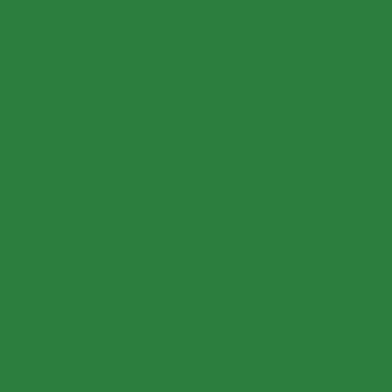 Vitražinė plėvelė Oracal 8300-060 Dark green
