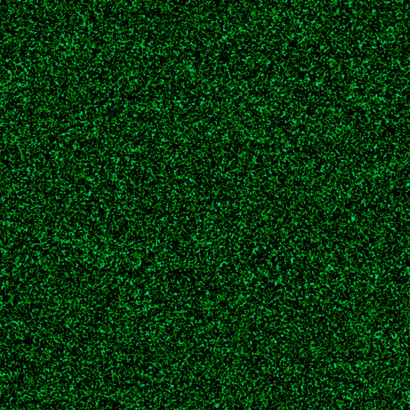 Terminė plėvelė Poli-flex Pearl Glitter 455 Green, blizgučiai