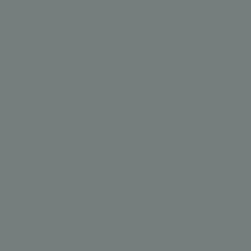 Lipni plėvelė Oracal 641-71G Grey, blizgi