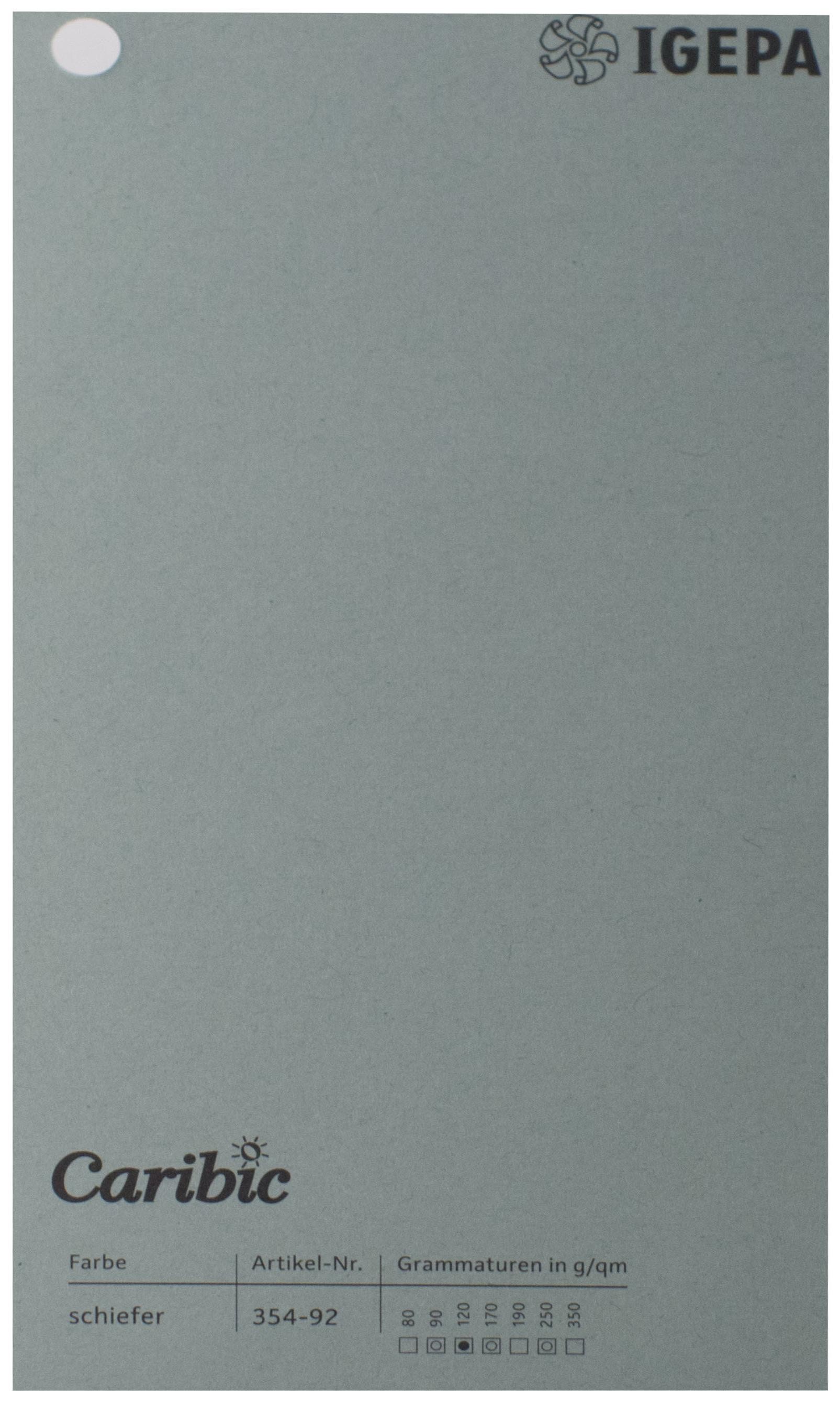 Spalvotas popierius Caribic Nr.92 250g/m2 65x92 cm (t.pilka)