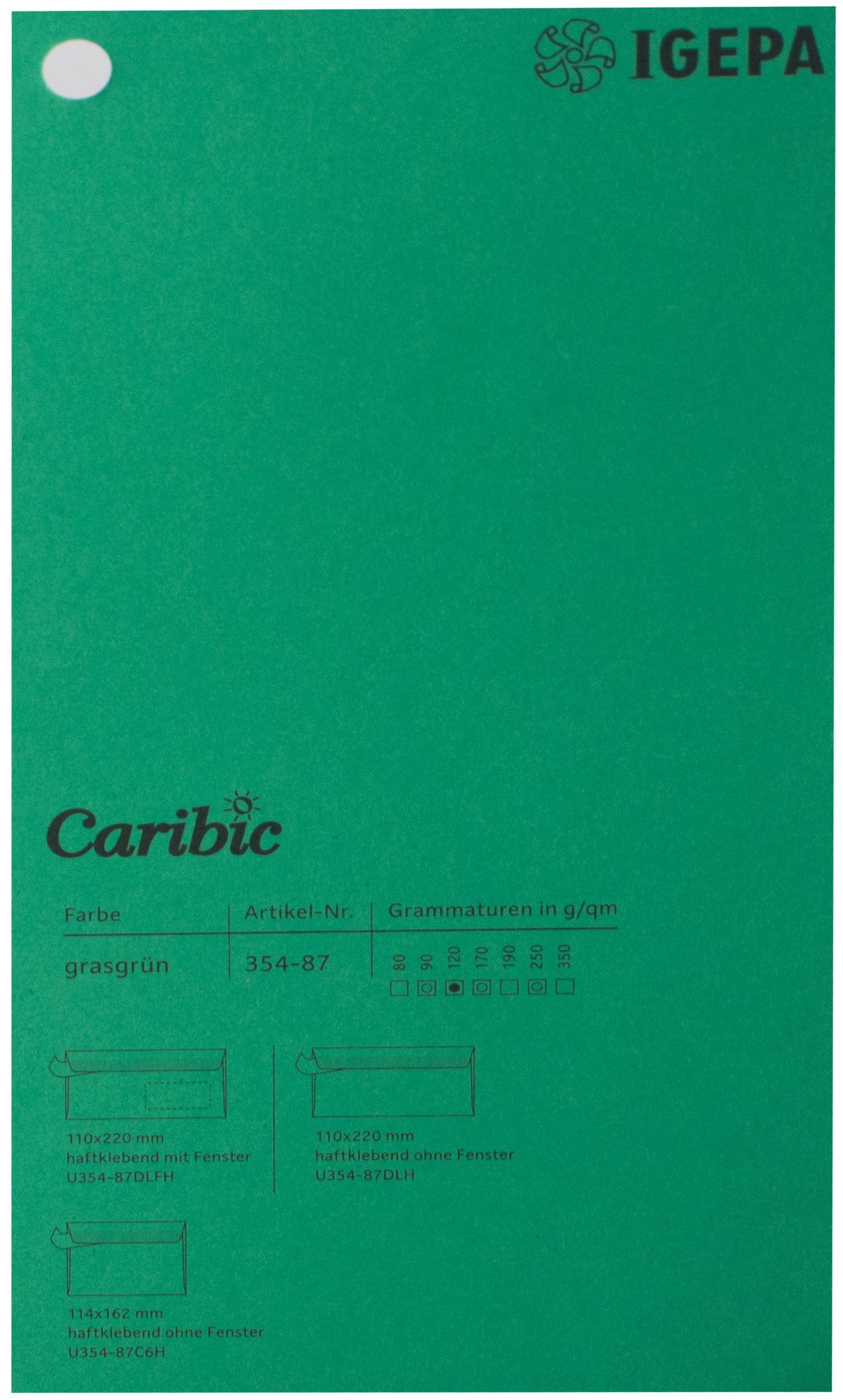 Spalvotas popierius Caribic Nr.87 250g/m2 65x92 cm (žalia)