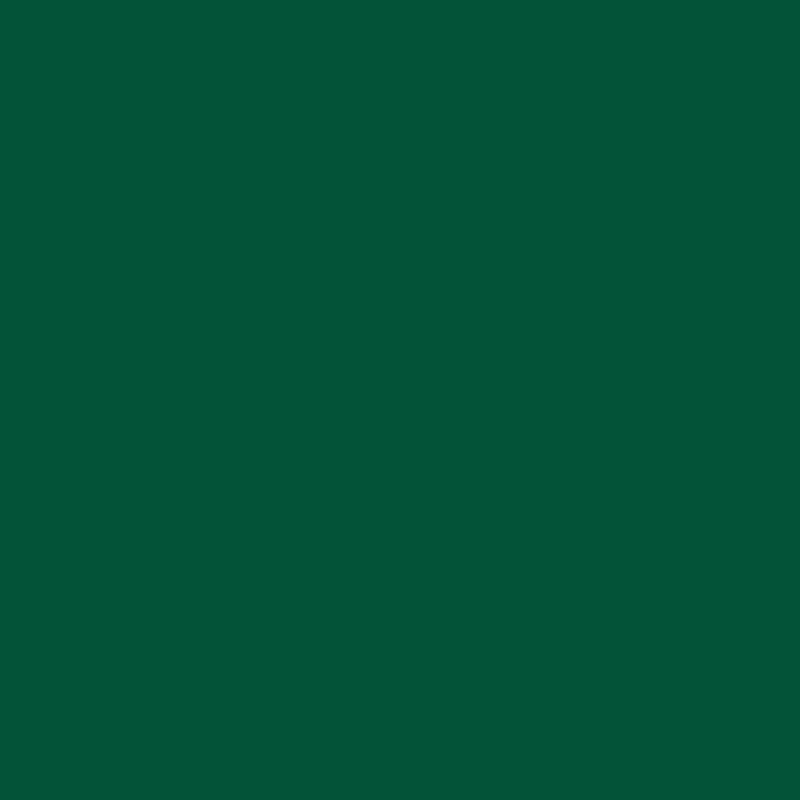 Lipni plėvelė Oracal 641-613M Forest green, matinė