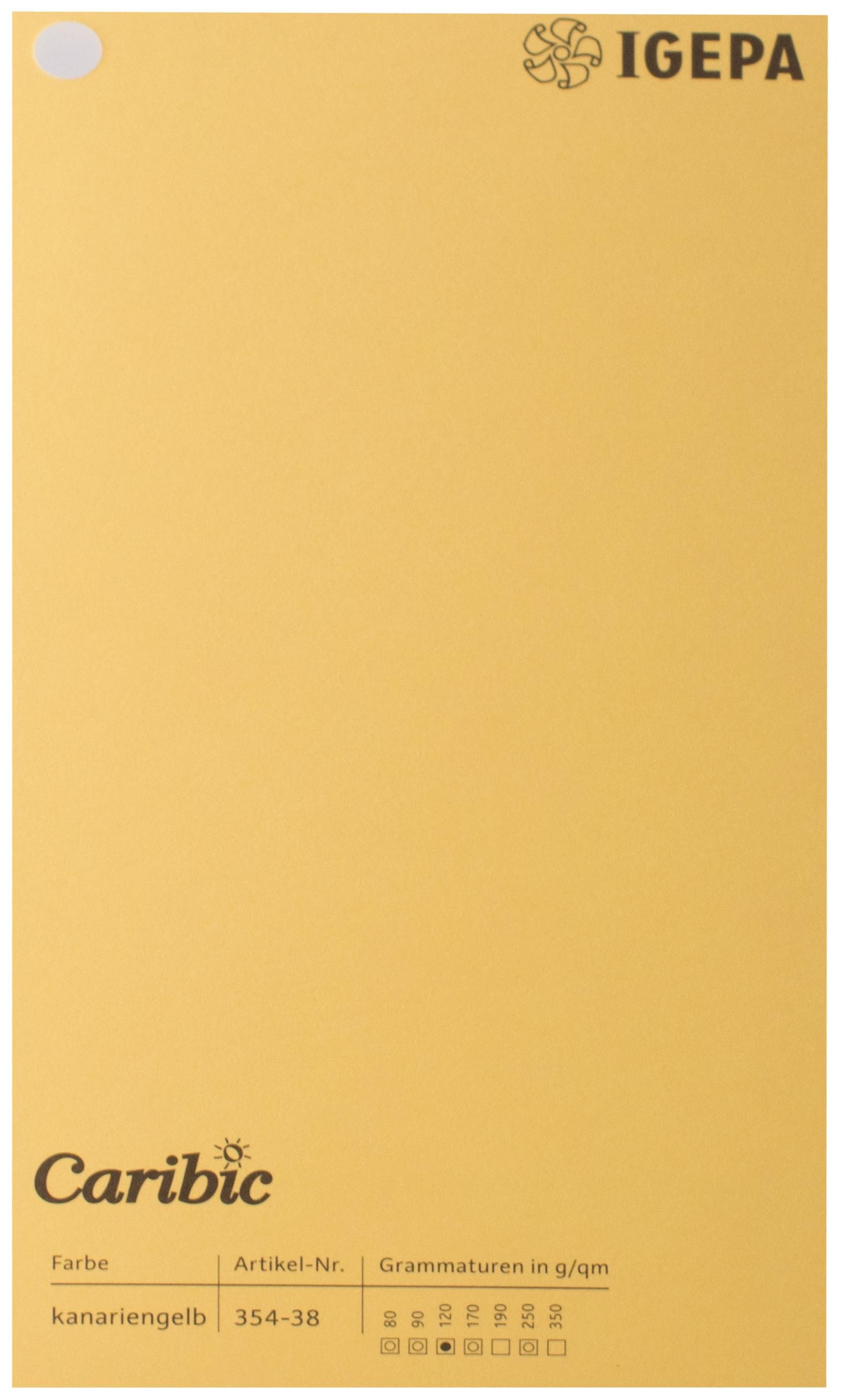 Spalvotas popierius Caribic Nr.38 250g/m2 65x92 cm (kanarėlės)