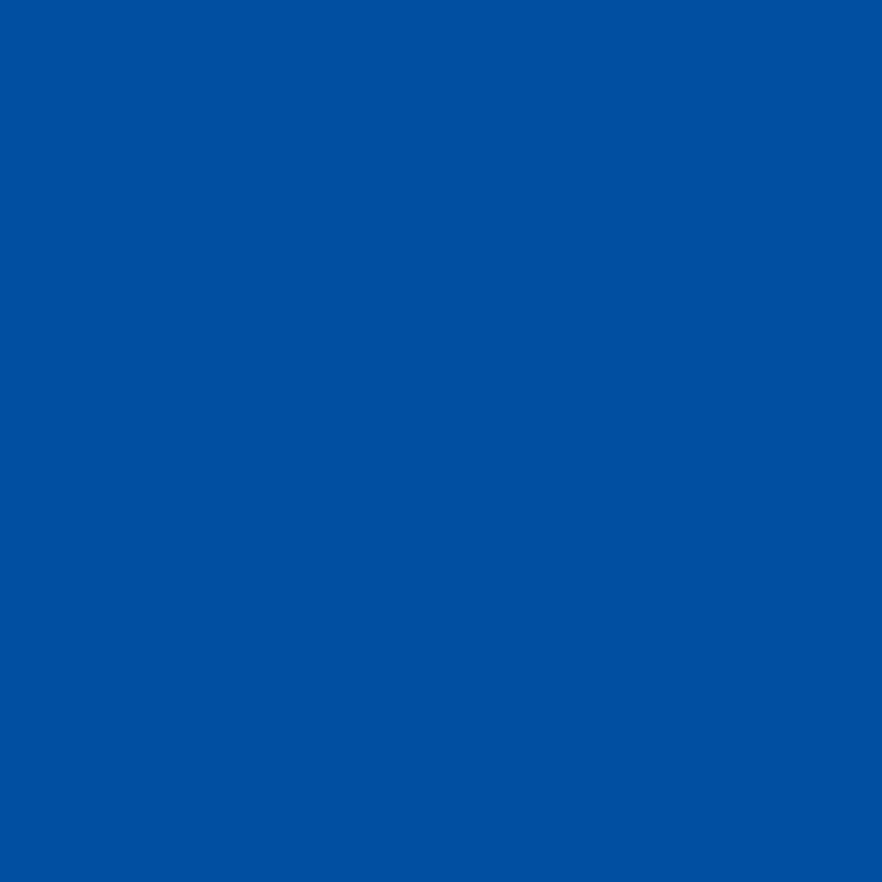 Lipni plėvelė Oracal 641-098G Gentian, blizgi