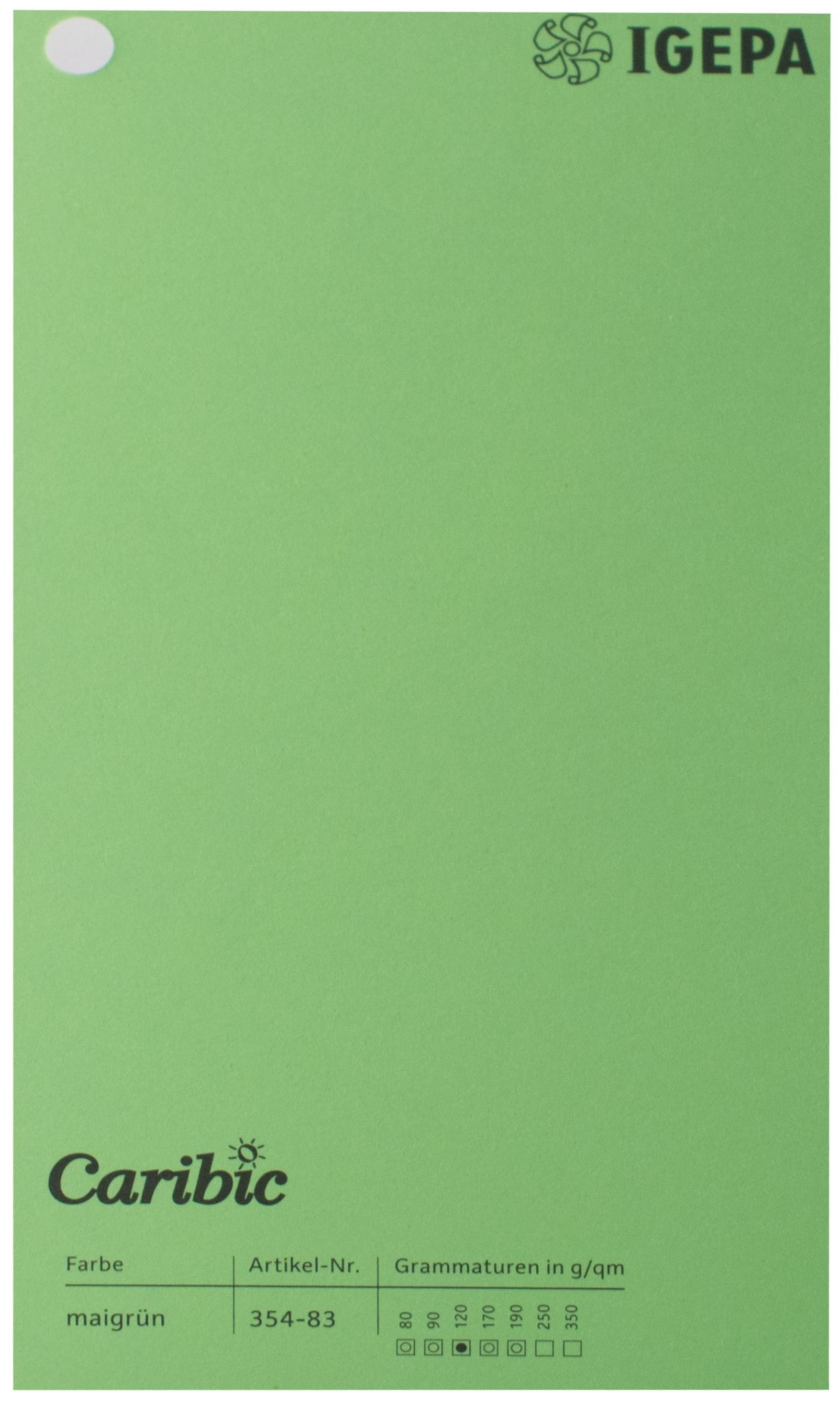 Spalvotas popierius Caribic Nr.83 250g/m2 65x92 cm (salotinė)
