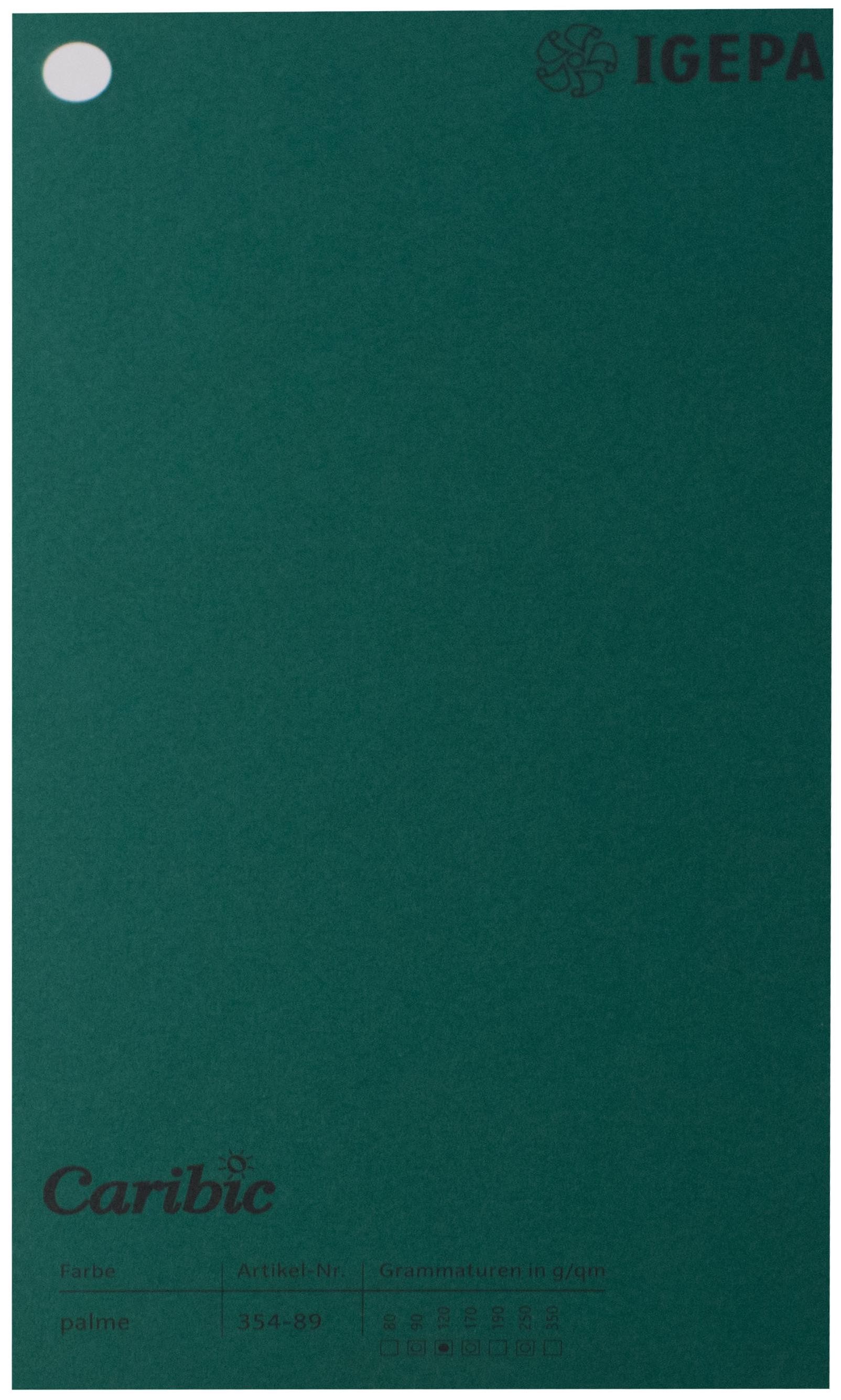 Spalvotas popierius Caribic Nr.89 170g/m2 65x92 cm (t.žalia sp)