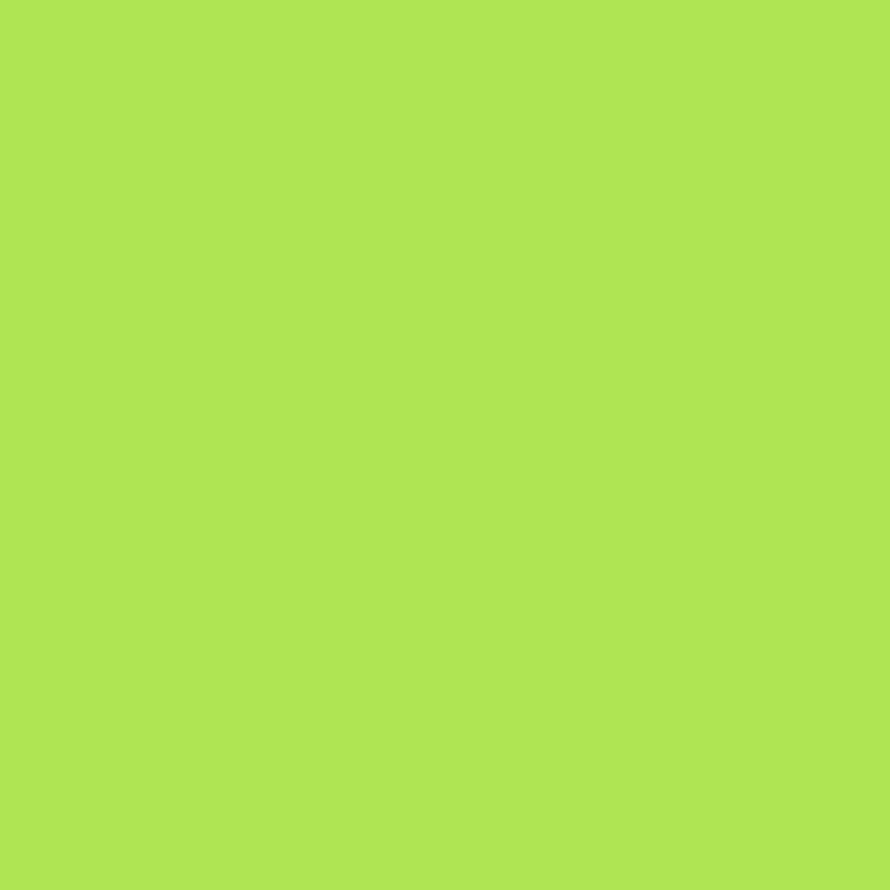 Vitražinė plėvelė Oracal 8300-063 Lime-tree green