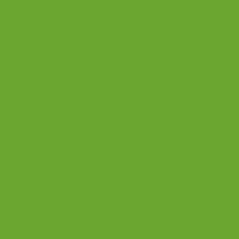 Lipni plėvelė Oracal 641-063G Lime-tree green, blizgi