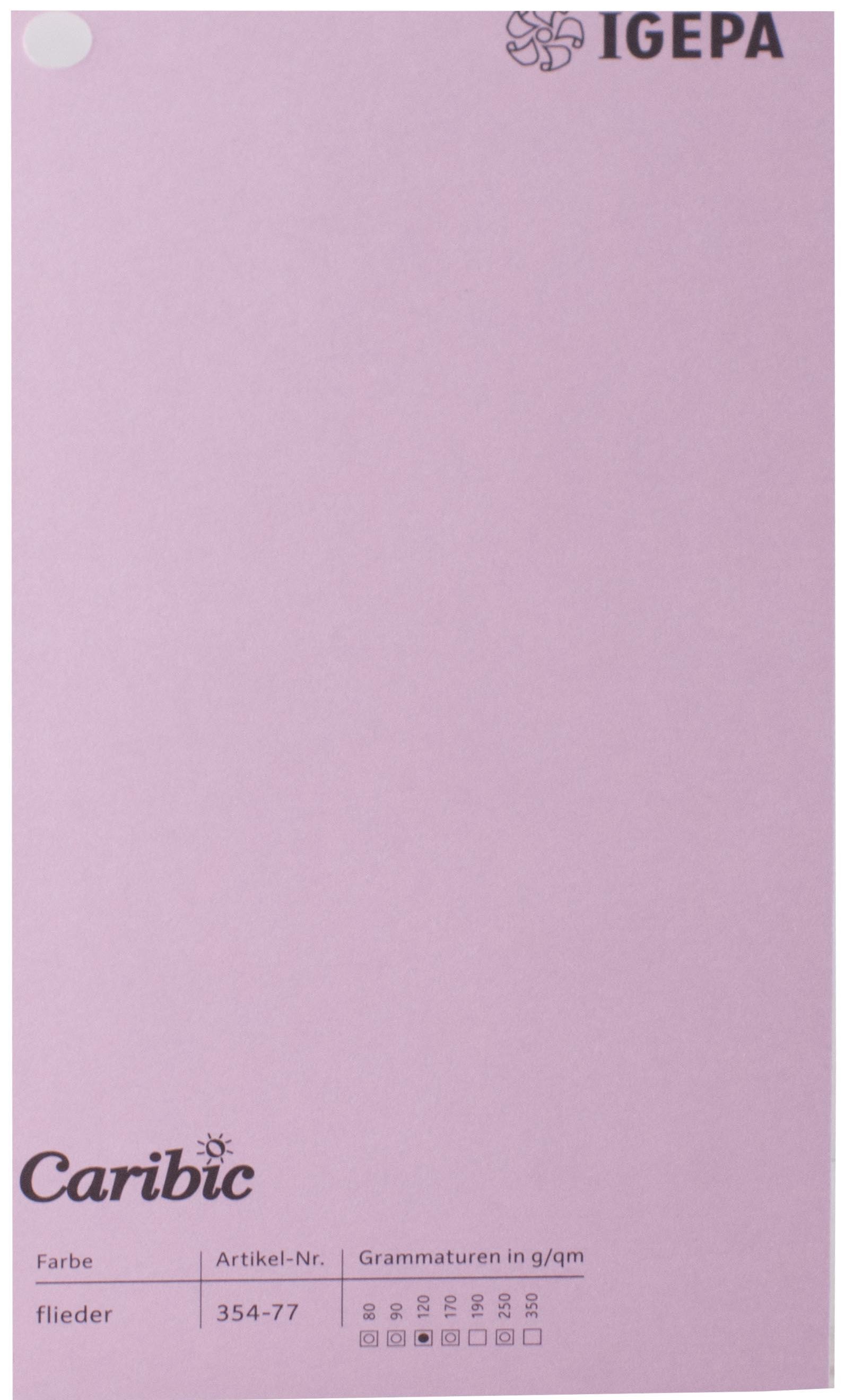 Spalvotas popierius Caribic Nr.77 250g/m2 65x92 cm (alyvinė)