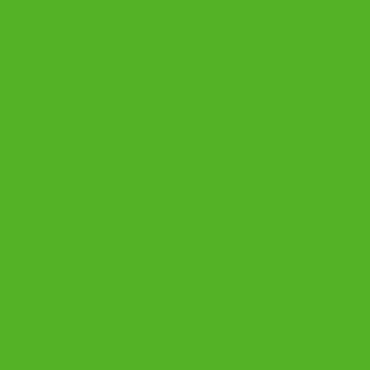 Matinis filtras Oracal 8800-063 Lime-tree green
