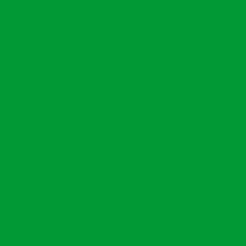 Matinis filtras Oracal 8500-062 Light green
